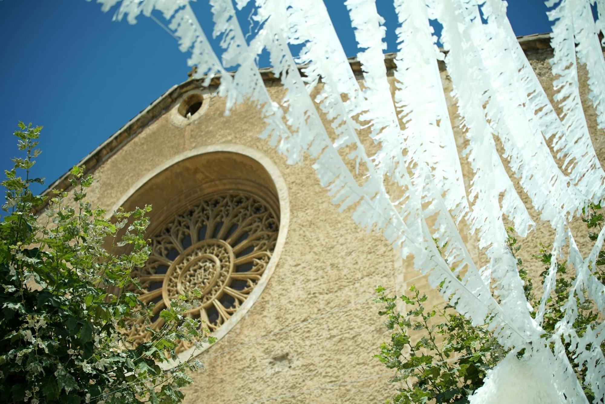 Maronja * Pollença